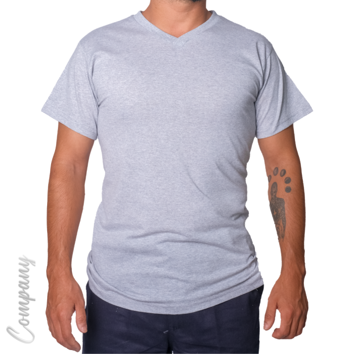 Baskılı V Yaka T-shirt Gri - Company